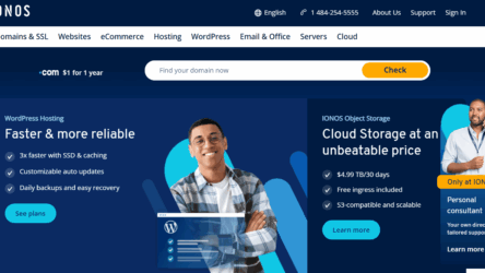 IONOS Web Hosting Review 2025